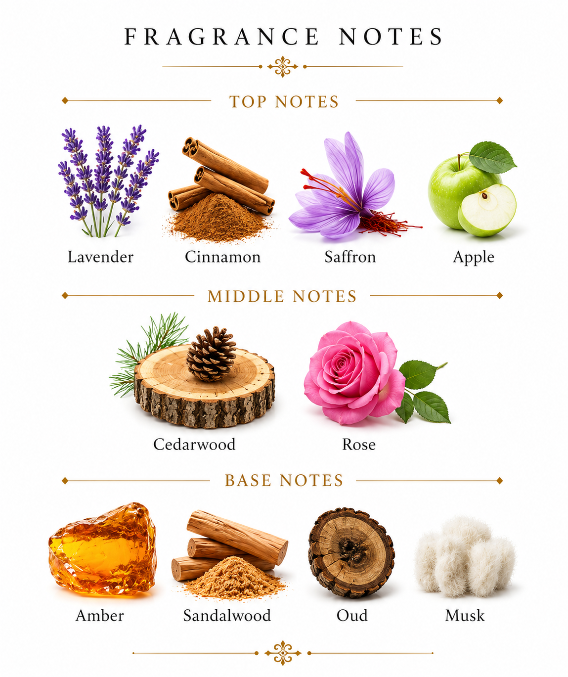 Assaf - Alex Enable