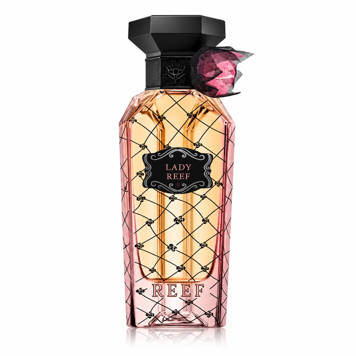 Reef - Lady Reef